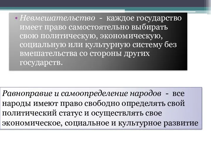 Невмешательство - каждое государство имеет право самостоятельно выбирать свою политическую, экономическую,