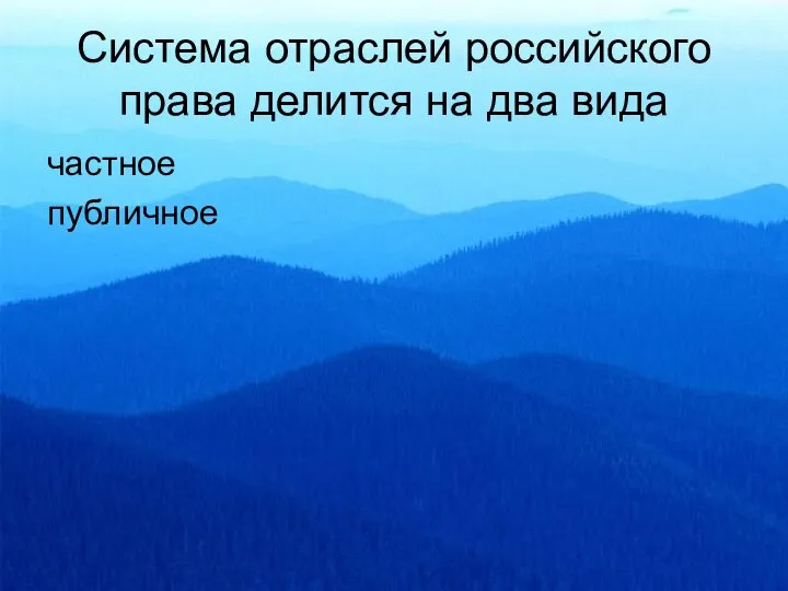 Система отраслей российского права делится на два вида частное публичное