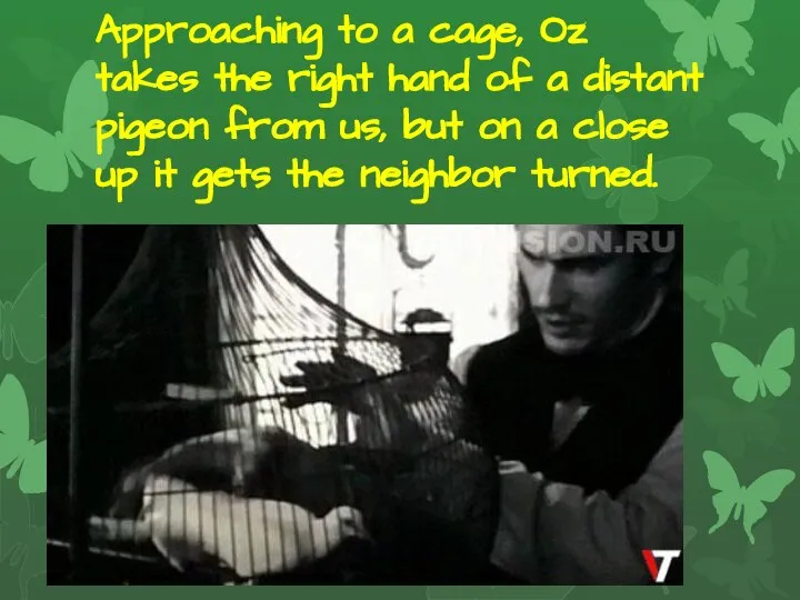 Approaching to a cage, Oz takes the right hand of a