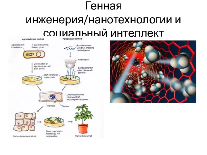 Генная инженерия/нанотехнологии и социальный интеллект