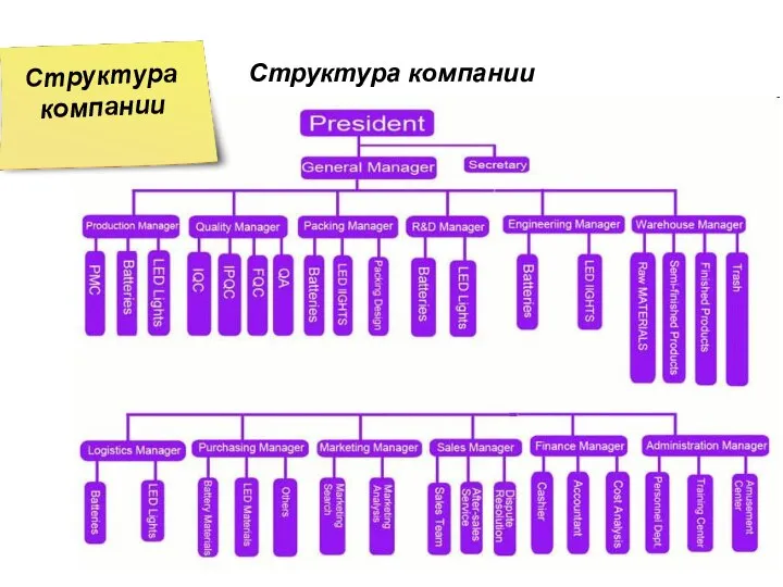 Структура компании