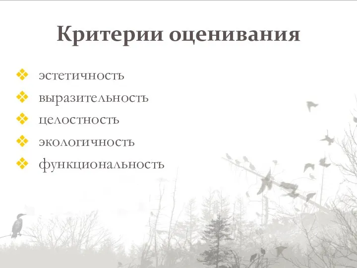 Критерии оценивания эстетичность выразительность целостность экологичность функциональность