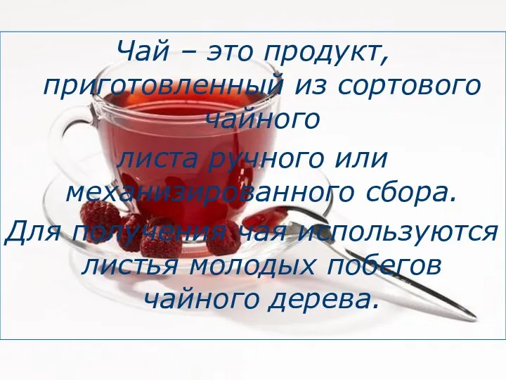 Чай – это продукт, приготовленный из сортового чайного листа ручного или