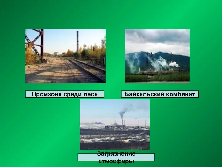 влияние на экологию Промзона среди леса Байкальский комбинат Загрязнение атмосферы