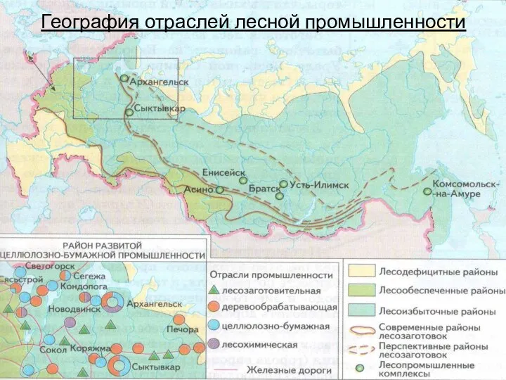 География отраслей лесной промышленности