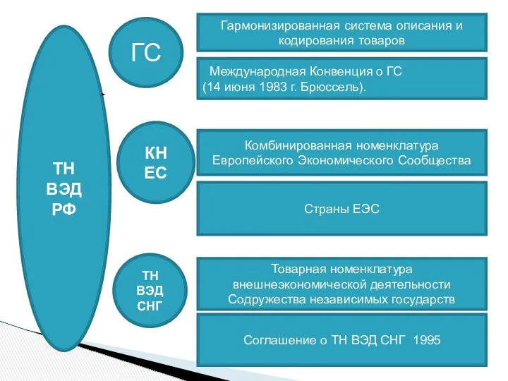 ТН ВЭД РФ ГС КН ЕС ТН ВЭД СНГ Гармонизированная система