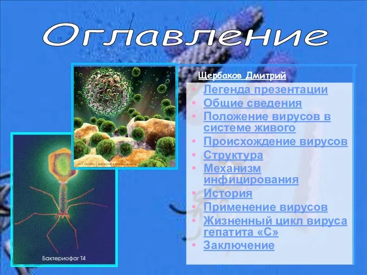 Легенда презентации Общие сведения Положение вирусов в системе живого Происхождение вирусов