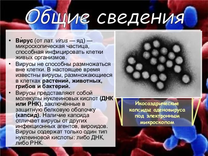 Ви́рус (от лат. virus — яд) — микроскопическая частица, способная инфицировать