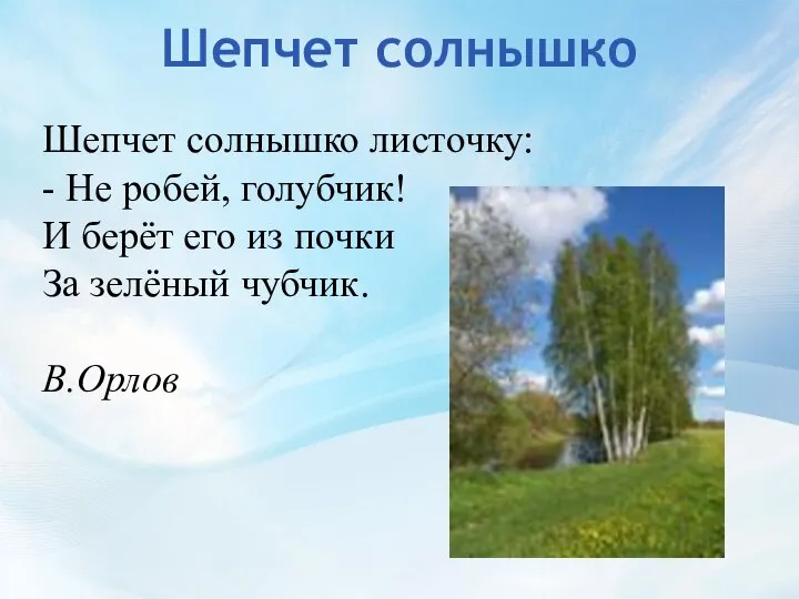 Шепчет солнышко Шепчет солнышко листочку: - Не робей, голубчик! И берёт