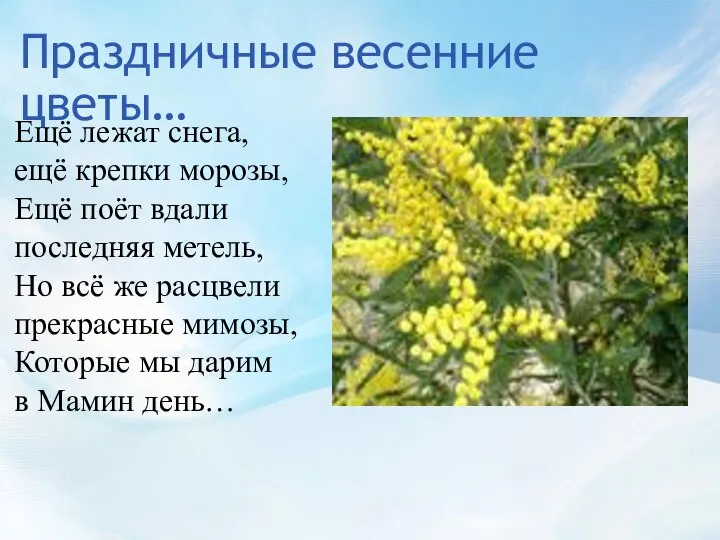 Праздничные весенние цветы… Ещё лежат снега, ещё крепки морозы, Ещё поёт