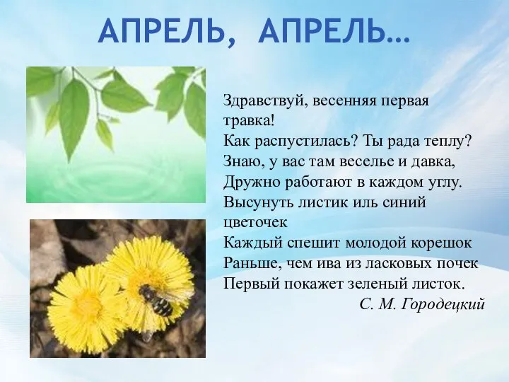 АПРЕЛЬ, АПРЕЛЬ… Здравствуй, весенняя первая травка! Как распустилась? Ты рада теплу?