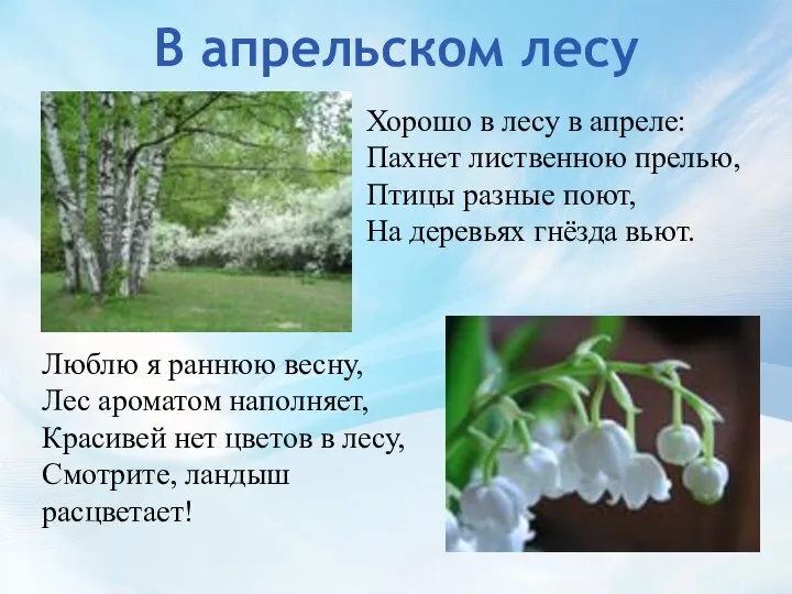 В апрельском лесу Хорошо в лесу в апреле: Пахнет лиственною прелью,