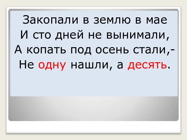 Закопали в землю в мае И сто дней не вынимали, А