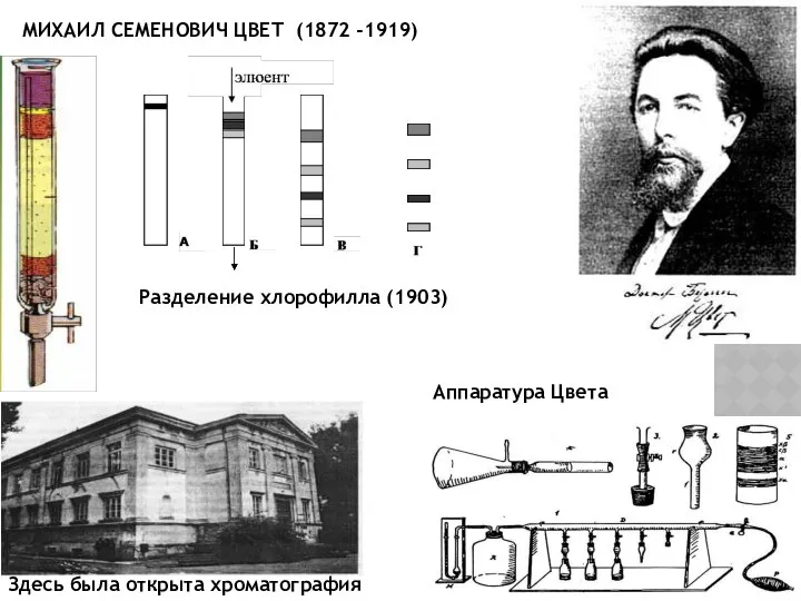 МИХАИЛ СЕМЕНОВИЧ ЦВЕТ (1872 -1919) Разделение хлорофилла (1903) Здесь была открыта хроматография Аппаратура Цвета