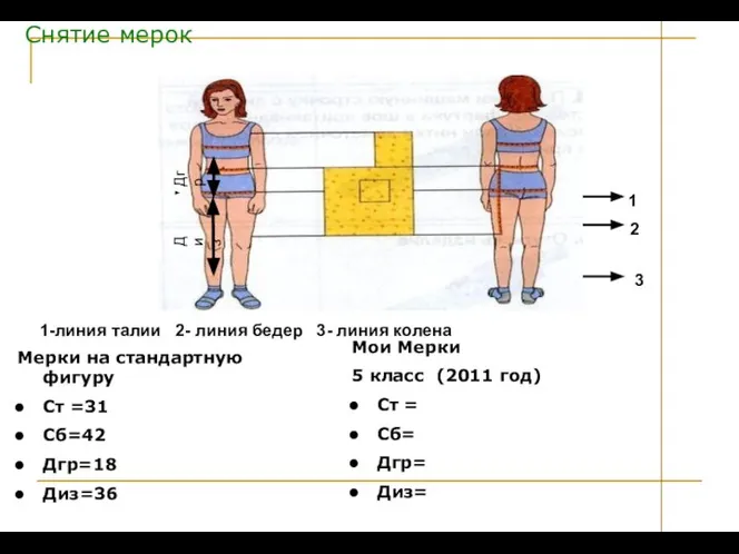 Снятие мерок Диз Дгр Мерки на стандартную фигуру Ст =31 Сб=42