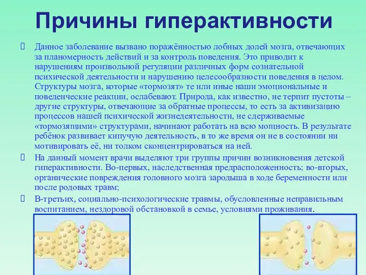 Причины гиперактивности Данное заболевание вызвано поражённостью лобных долей мозга, отвечающих за