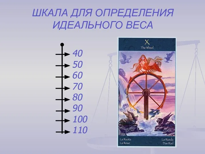 ШКАЛА ДЛЯ ОПРЕДЕЛЕНИЯ ИДЕАЛЬНОГО ВЕСА 40 50 60 70 80 90 100 110