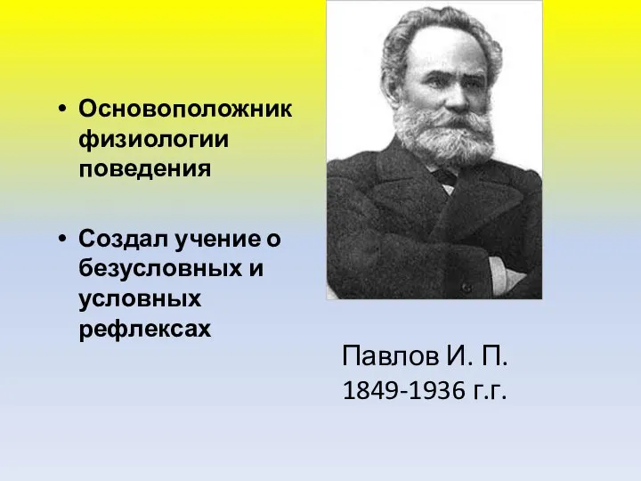 Основоположник физиологии поведения Создал учение о безусловных и условных рефлексах Павлов И. П. 1849-1936 г.г.