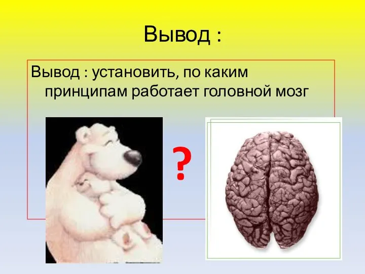 Вывод : установить, по каким принципам работает головной мозг ? Вывод :