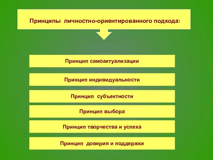 Принцип самоактуализации Принцип индивидуальности Принцип субъектности Принцип выбора Принцип творчества и успеха Принцип доверия и поддержки