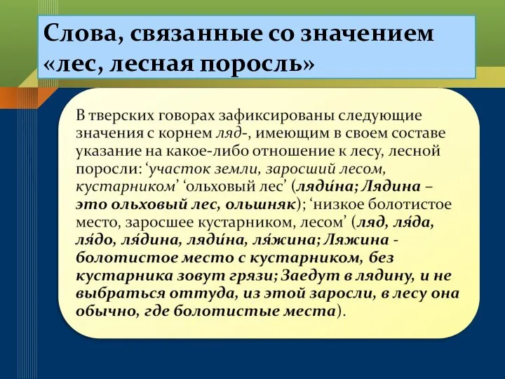 Слова, связанные со значением «лес, лесная поросль»