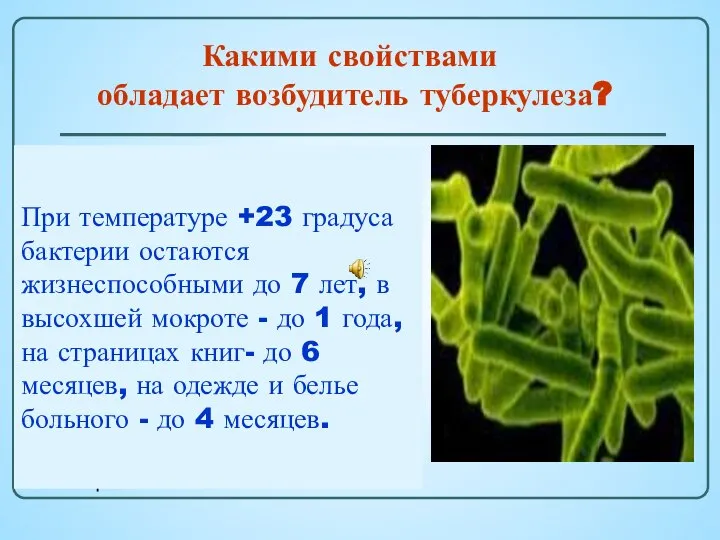 В отличие от других микробов, микобактерия туберкулеза чрезвычайно живуча: отлично себя