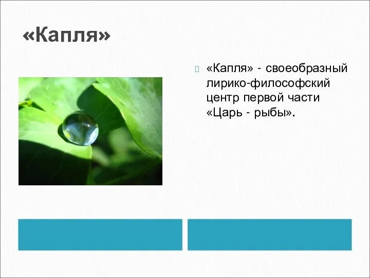 «Капля» «Капля» - своеобразный лирико-философский центр первой части «Царь - рыбы».