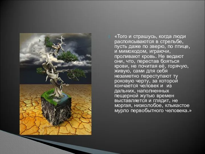 «Того и страшусь, когда люди распоясываются в стрельбе, пусть даже по