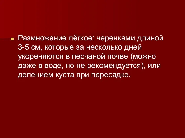 Размножение лёгкое: черенками длиной 3-5 см, которые за несколько дней укореняются