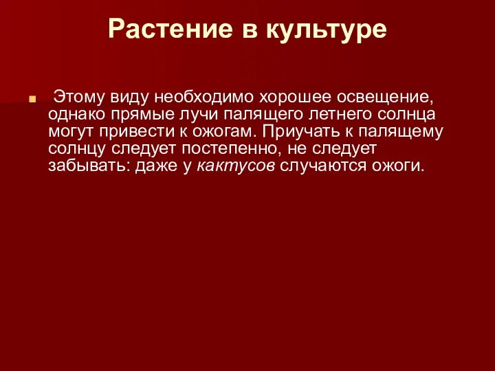 Растение в культуре Этому виду необходимо хорошее освещение, однако прямые лучи