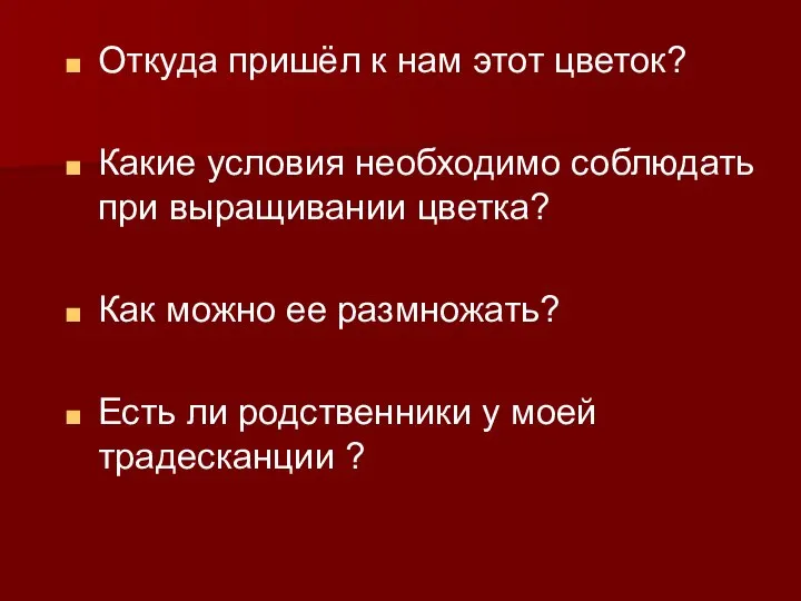 Откуда пришёл к нам этот цветок? Какие условия необходимо соблюдать при