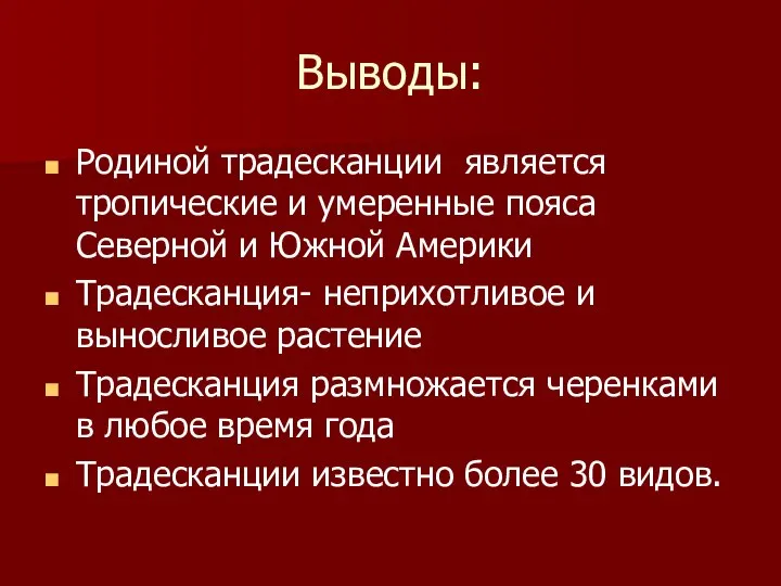 Выводы: Родиной традесканции является тропические и умеренные пояса Северной и Южной