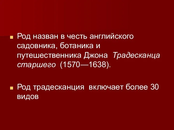 Род назван в честь английского садовника, ботаника и путешественника Джона Традесканца