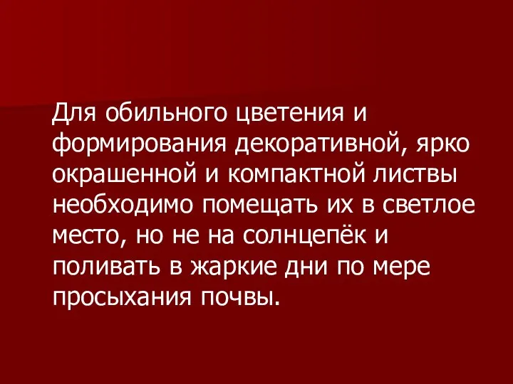 Для обильного цветения и формирования декоративной, ярко окрашенной и компактной листвы