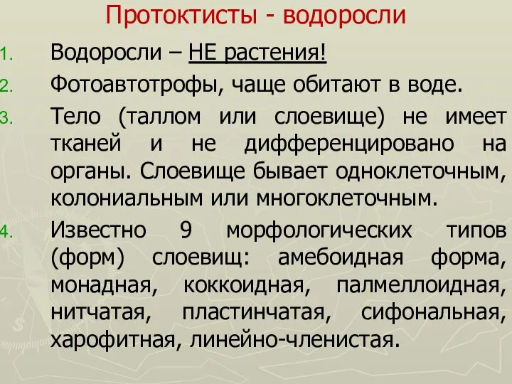 Протоктисты - водоросли Водоросли – НЕ растения! Фотоавтотрофы, чаще обитают в