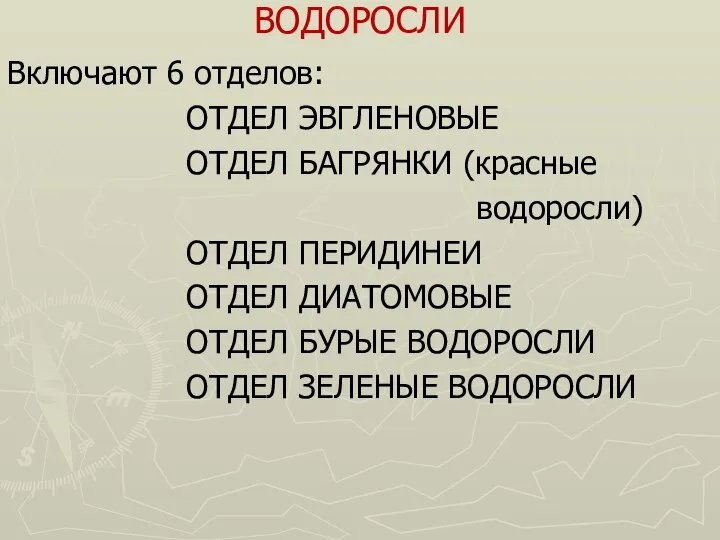 ВОДОРОСЛИ Включают 6 отделов: ОТДЕЛ ЭВГЛЕНОВЫЕ ОТДЕЛ БАГРЯНКИ (красные водоросли) ОТДЕЛ