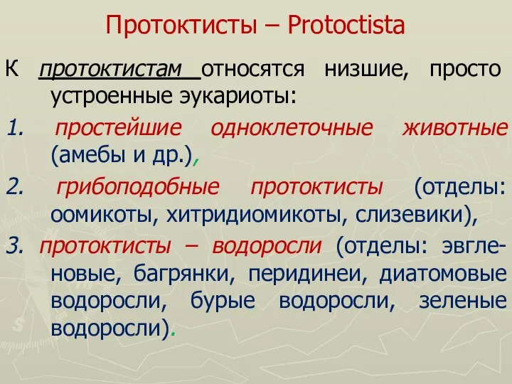 Протоктисты – Protoctista К протоктистам относятся низшие, просто устроенные эукариоты: 1.