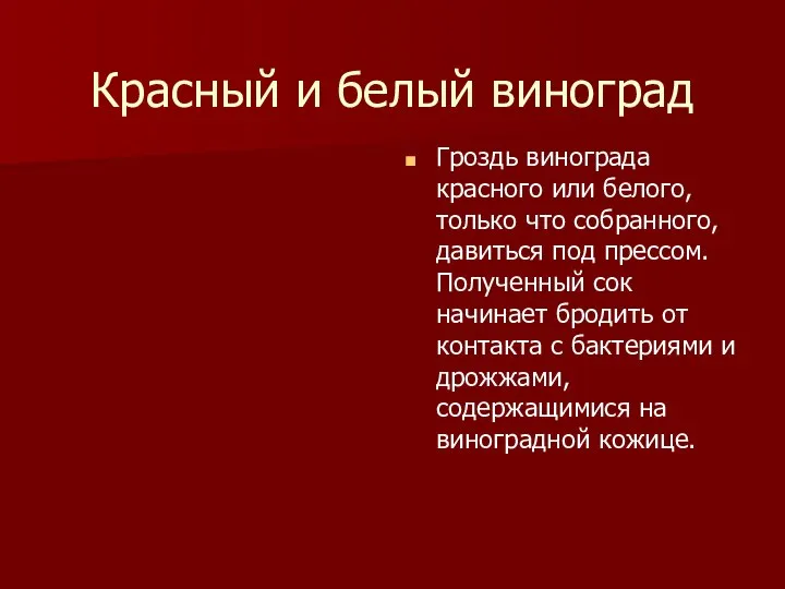 Красный и белый виноград Гроздь винограда красного или белого, только что