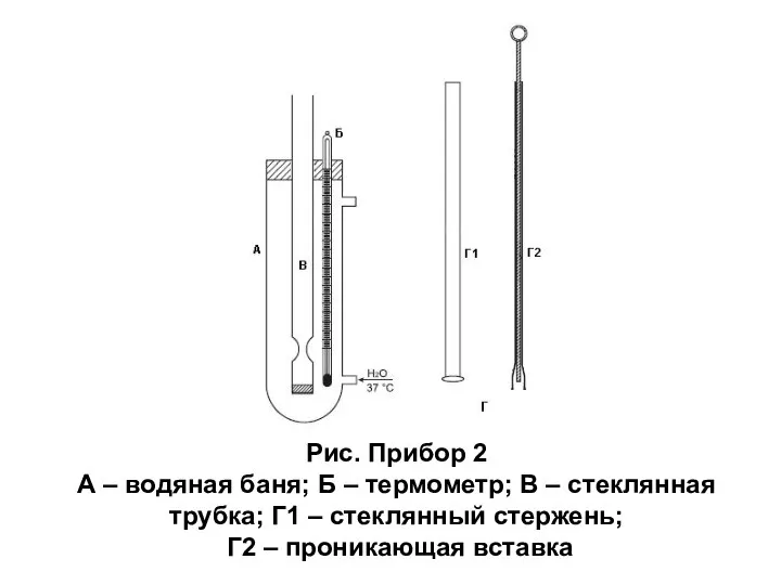 Рис. Прибор 2 А – водяная баня; Б – термометр; В