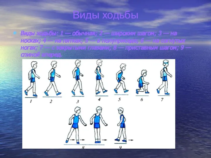 Виды ходьбы Виды ходьбы: 1 — обычная; 2 — широким шагом;