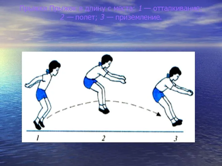 Прыжки Прыжок в длину с места: 1 — отталкивание; 2 — полет; 3 — приземление.