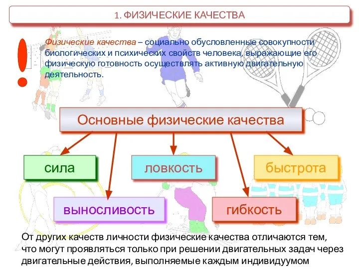 1. ФИЗИЧЕСКИЕ КАЧЕСТВА Физические качества – социально обусловленные совокупности биологических и