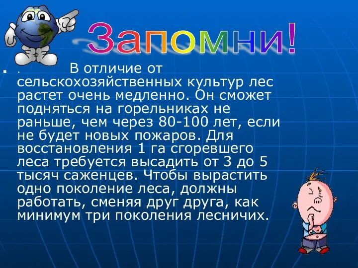 . . В отличие от сельскохозяйственных культур лес растет очень медленно.