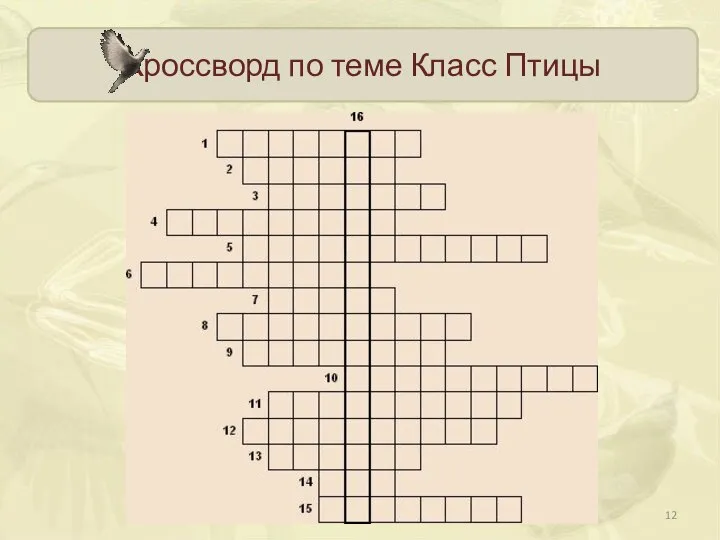 Кроссворд по теме Класс Птицы