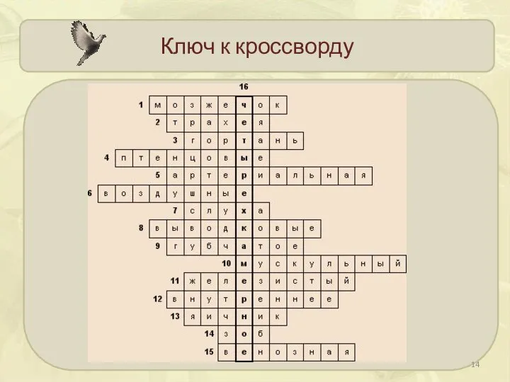 Ключ к кроссворду