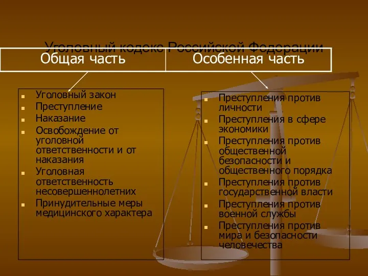 Уголовный кодекс Российской Федерации Уголовный закон Преступление Наказание Освобождение от уголовной