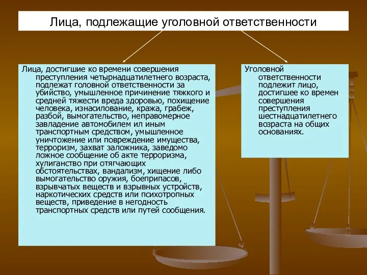 Лица, подлежащие уголовной ответственности Лица, достигшие ко времени совершения преступления четырнадцатилетнего