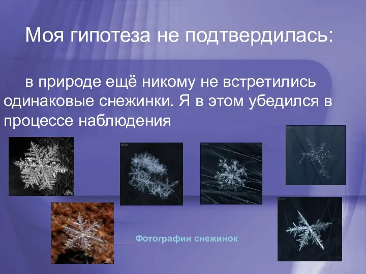 Моя гипотеза не подтвердилась: в природе ещё никому не встретились одинаковые