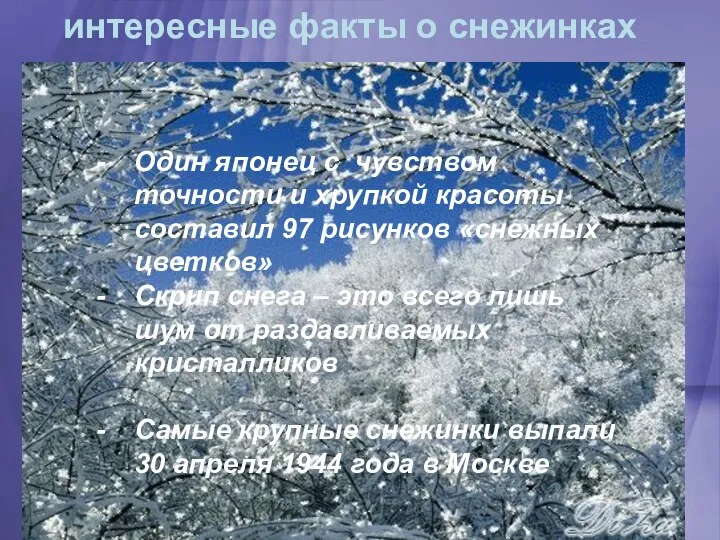 интересные факты о снежинках Один японец с чувством точности и хрупкой