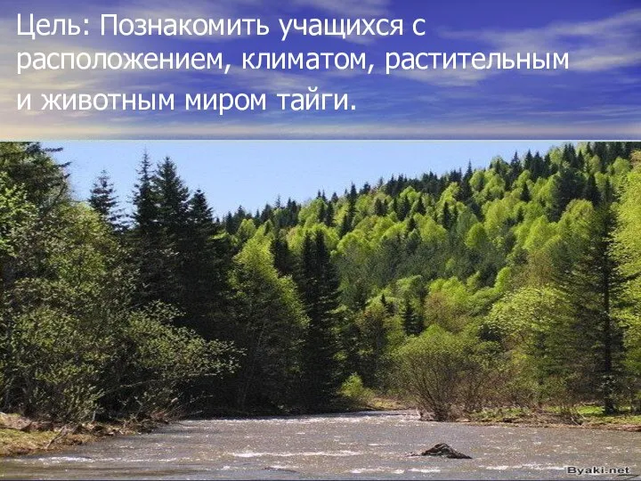 Цель: Познакомить учащихся с расположением, климатом, растительным и животным миром тайги.